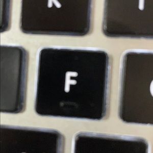 Meet your Posher, Fiona